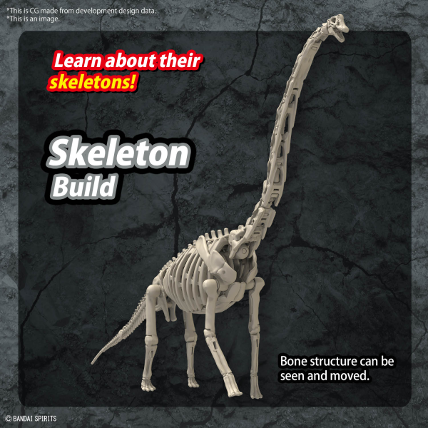 BANDAI Hobby PLANNOSAURUS Brachiosaurus