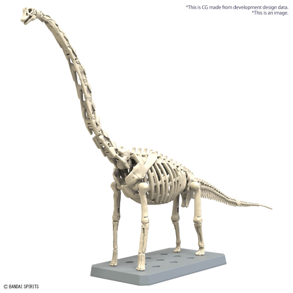 BANDAI Hobby PLANNOSAURUS Brachiosaurus