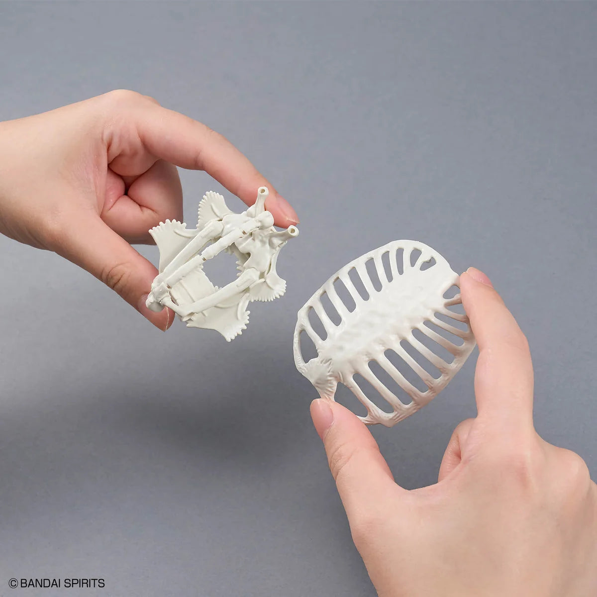 Bandai Plannosaurus Archelon Model Kit