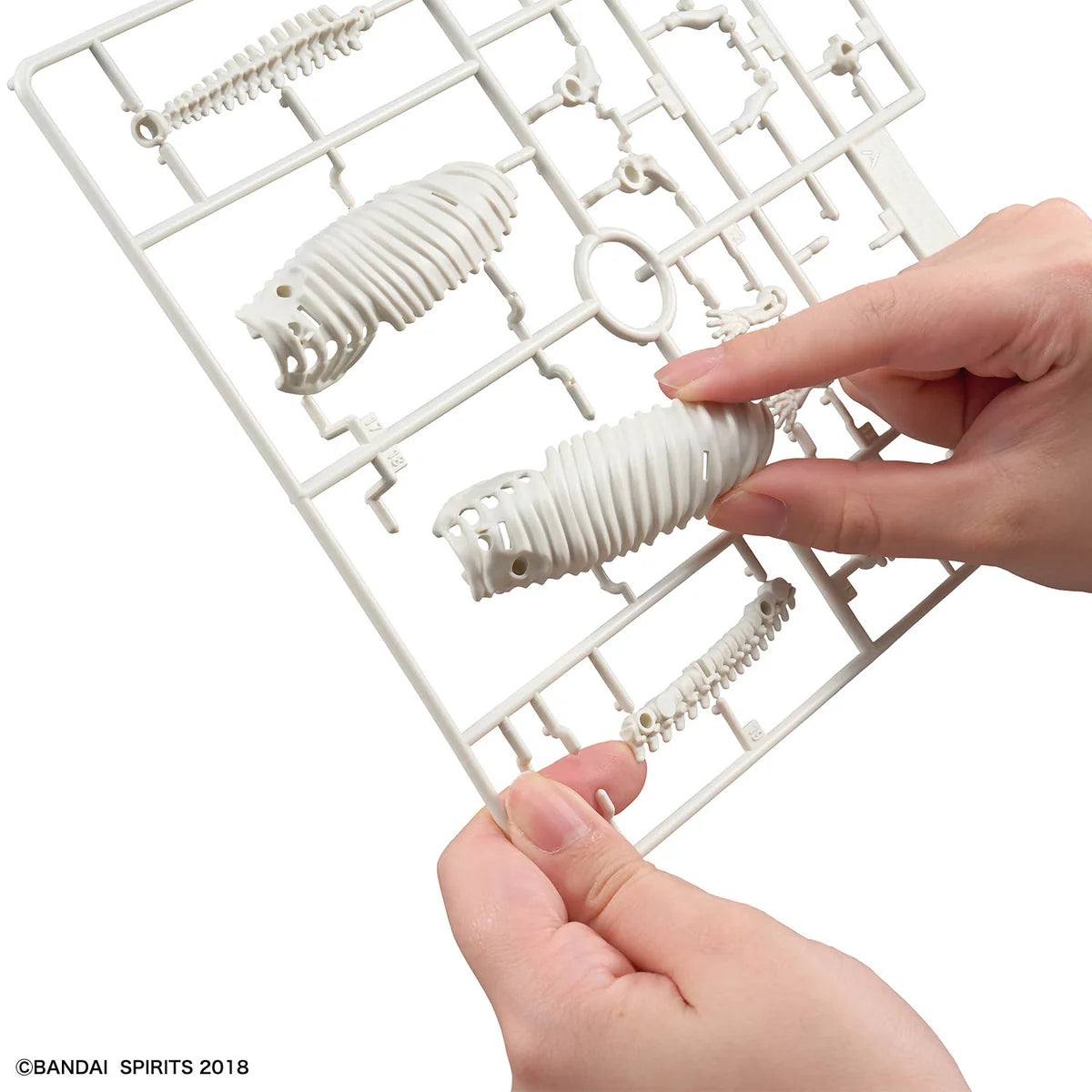 Bandai Plannosaurus Hydrodamalis Gigas Model Kit