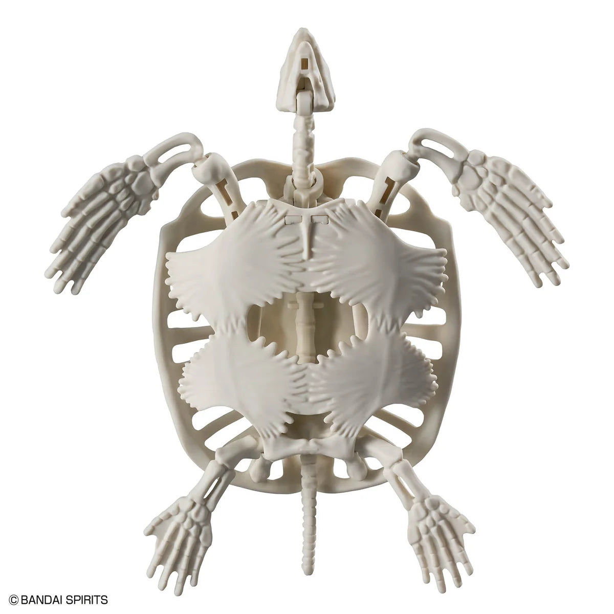 Bandai Plannosaurus Archelon Model Kit