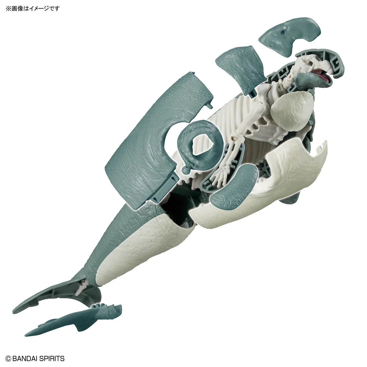 Bandai Plannosaurus Hydrodamalis Gigas Model Kit