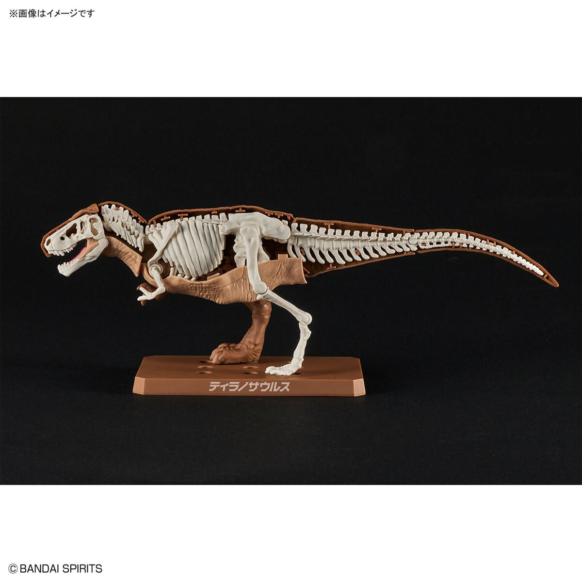 Bandai Spirits Dinosaur Plannosaurus Tyrannosaurus