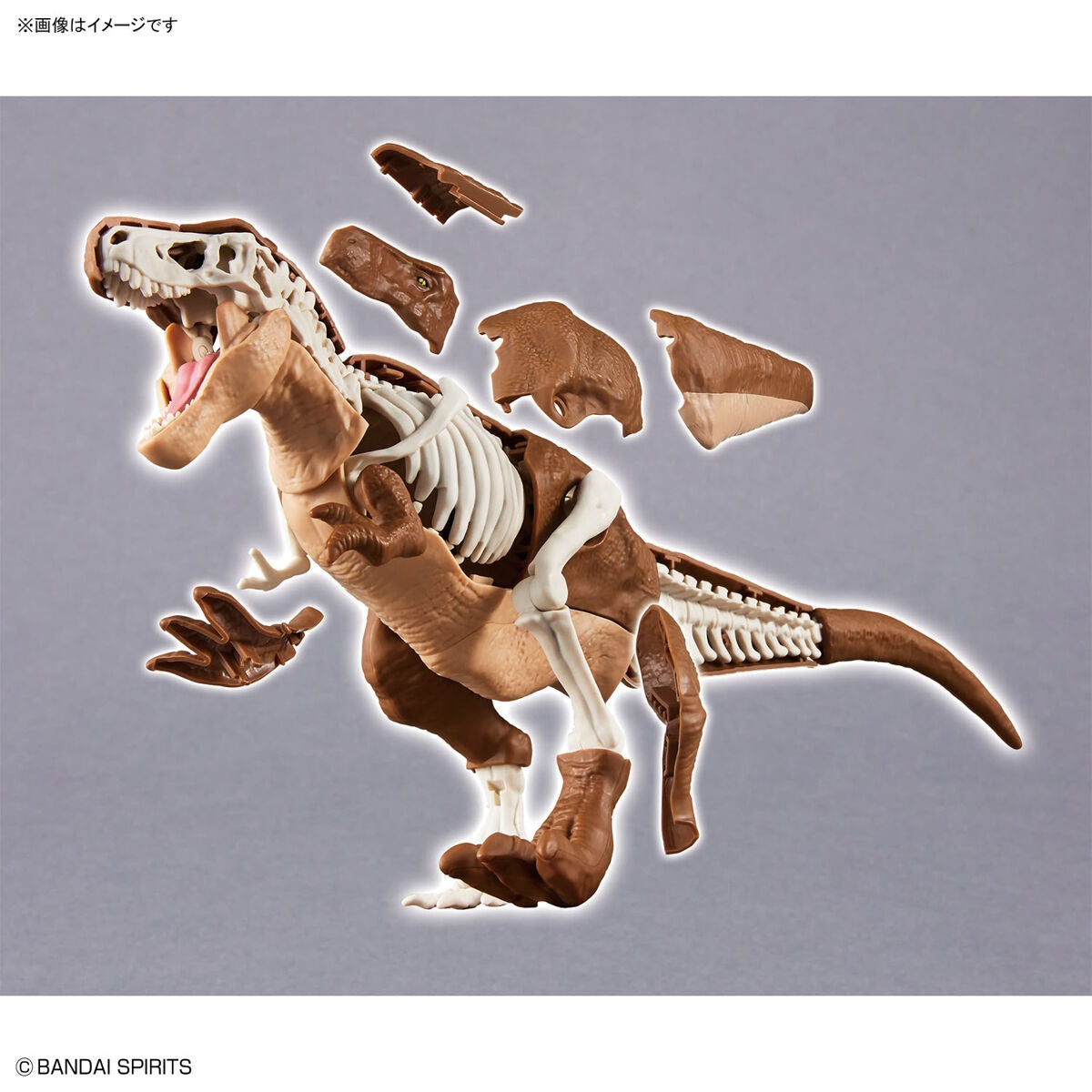 Bandai Spirits Dinosaur Plannosaurus Tyrannosaurus