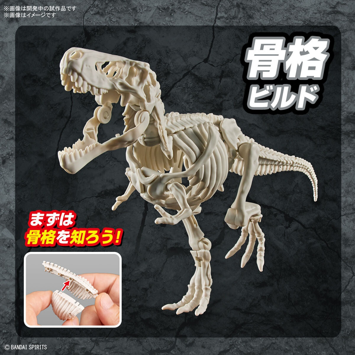 Bandai Spirits Dinosaur Plannosaurus Tyrannosaurus