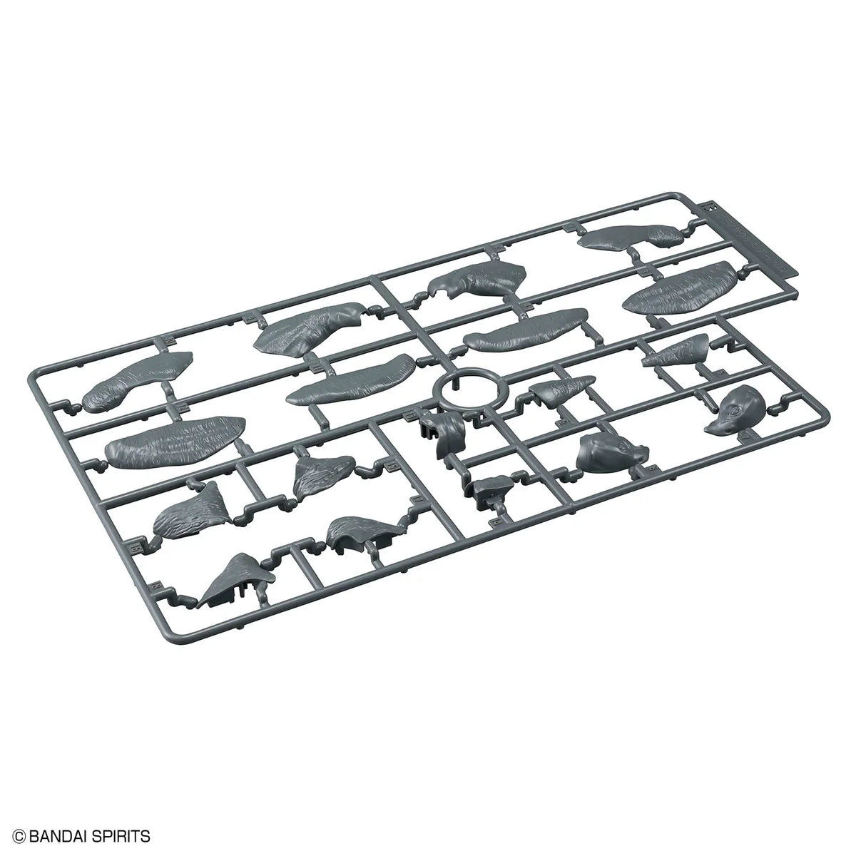 Bandai Plannosaurus Archelon Model Kit