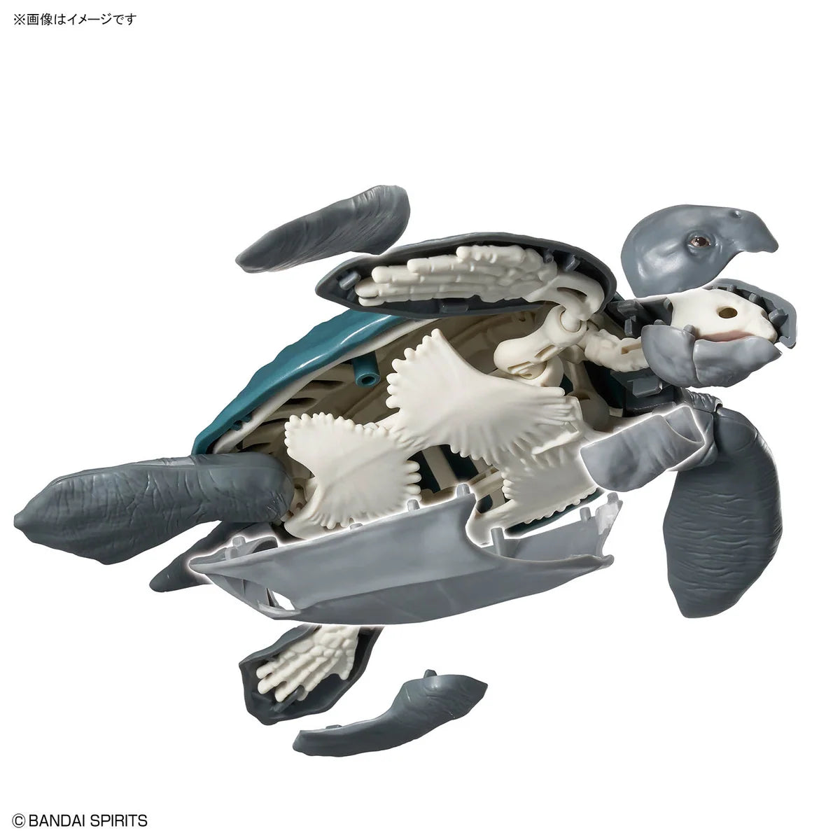 Bandai Plannosaurus Archelon Model Kit
