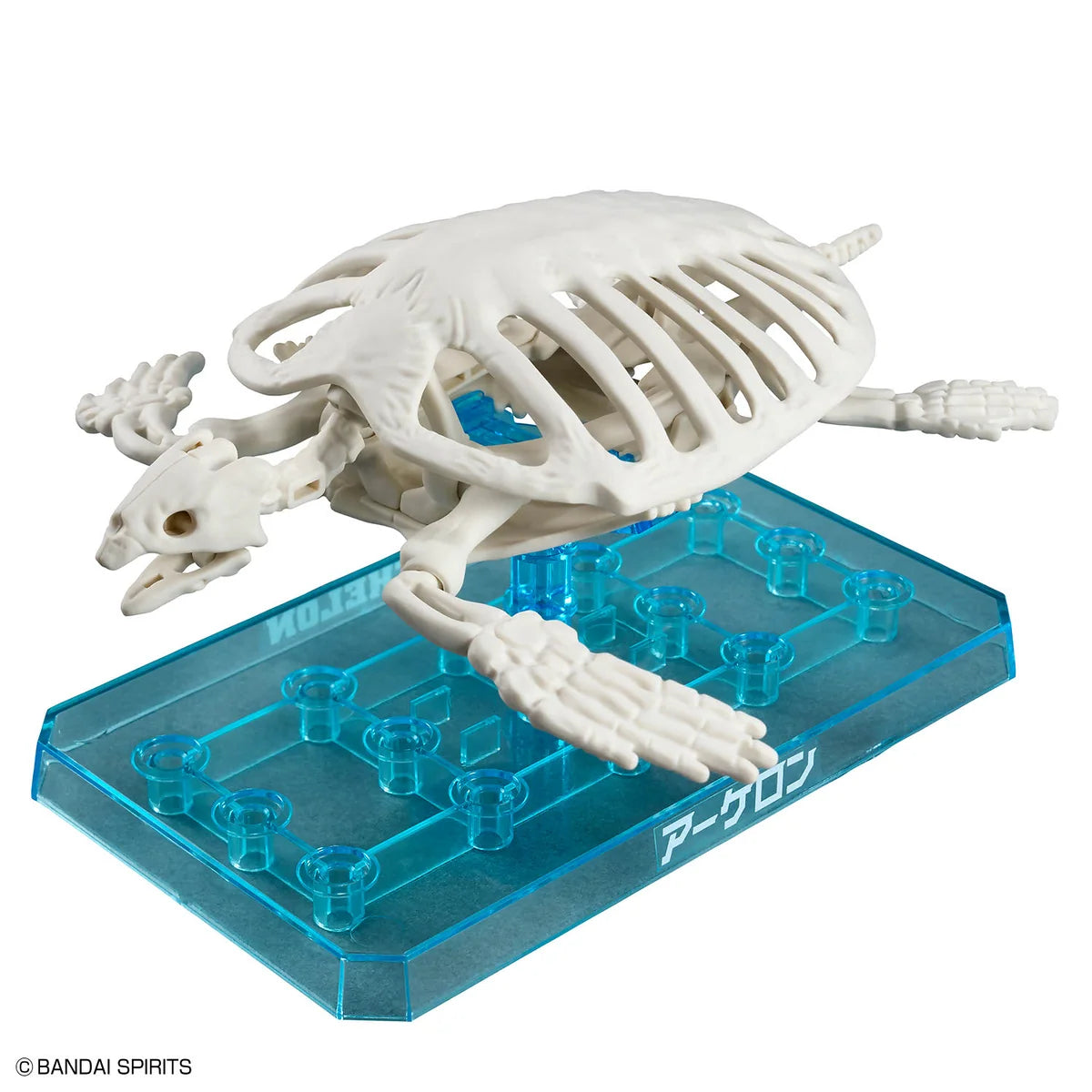 Bandai Plannosaurus Archelon Model Kit